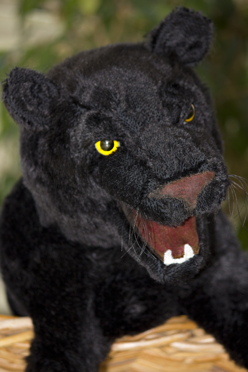 Panther